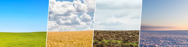 Four season collage from shots with fields ans skies — Stock Photo, Image