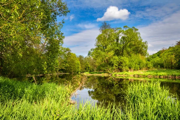 Tranquilo nivel del río en increíble paisaje de primavera —  Fotos de Stock