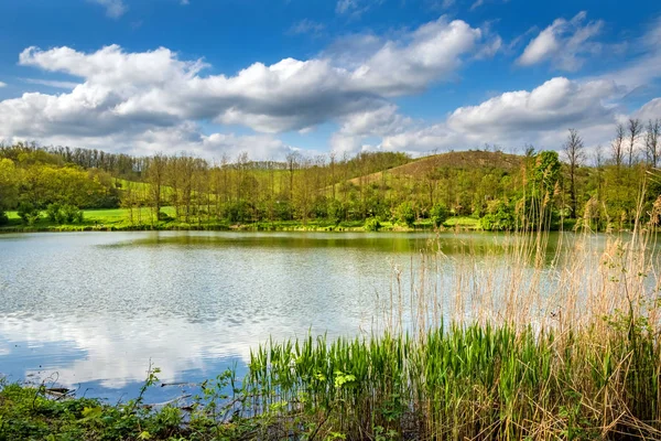 池塘在春天的乡村在美丽的多云的天空下 — 图库照片
