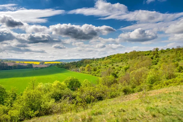 Frühlingslandschaft mit grünem Feld, Büschen und bewölktem Himmel — Stockfoto