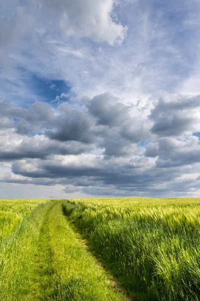 Verbazingwekkende bewolkte hemel en onverharde weg tussen groene velden — Stockfoto