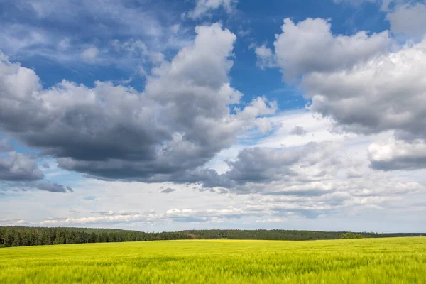 Spring or summer landscape under cloudy sky — Stock Photo, Image