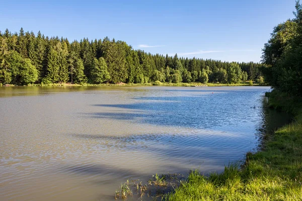 Lagoa e floresta sob céu azul na paisagem de verão — Fotografia de Stock