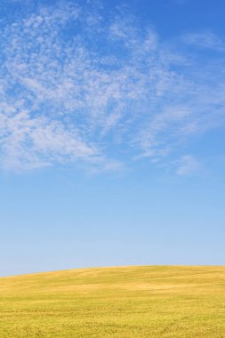 Çayır ve gökyüzü ile minimalist manzara görünümü - dikey yönelim
