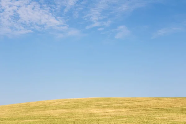 Минималистский вид на пейзаж с лугом и небом — стоковое фото