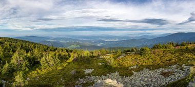 Muhteşem sabah ışığında yaz dağ sırtından Panorama