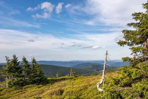 Uitzicht vanaf de zomer bergkam onder de blauwe hemel — Stockfoto