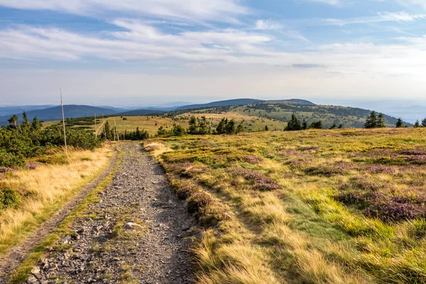 Mavi gökyüzünün altındaki dağ sırtı boyunca yol