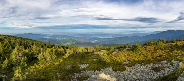Muhteşem sabah ışığında yaz dağ sırtından Panorama