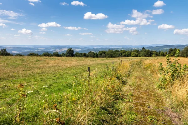 Kırsal uzak manzaralı yaz otlak yoluyla Yol