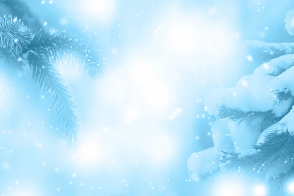 スプルースの枝とライトを持つ青い抽象的な冬の背景 — ストック写真