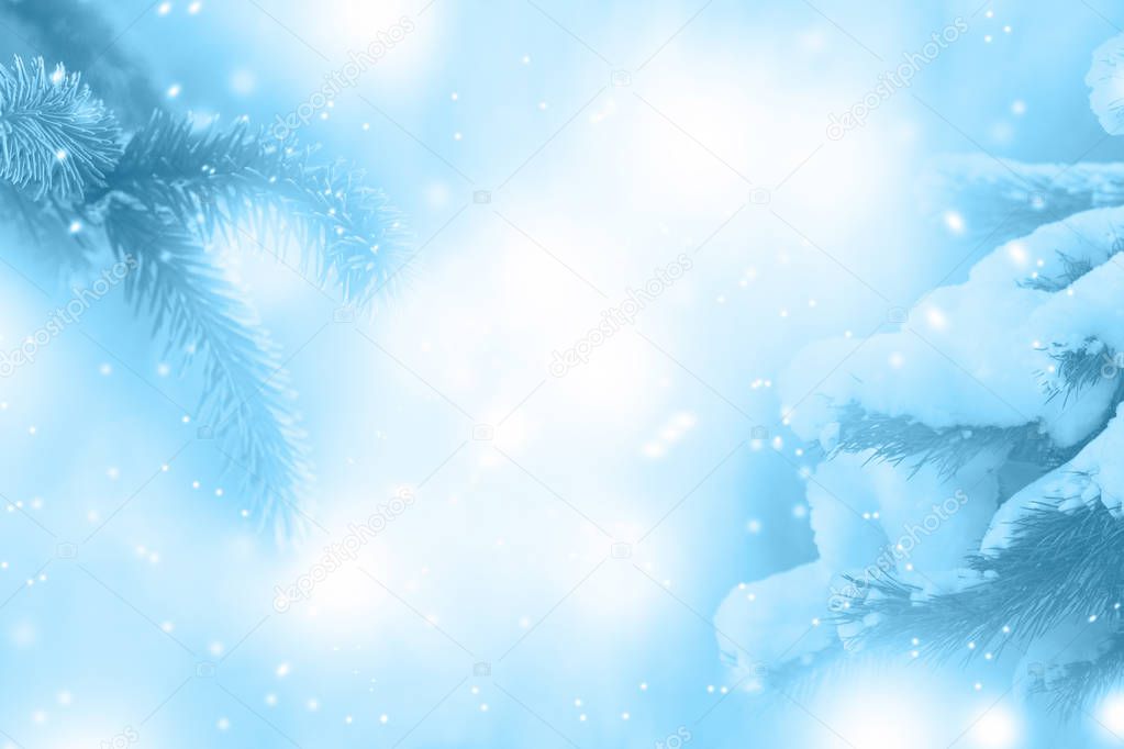 Blue abstract winter background with spruce branches and lights