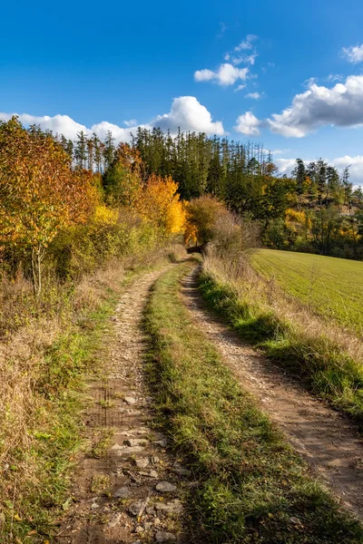 Road through autumnal countryside with colorful trees — Stock Photo, Image