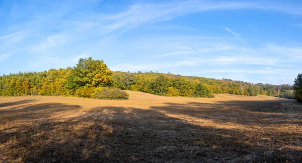 Pastos secos y bosques otoñales de colores bajo el cielo azul —  Fotos de Stock