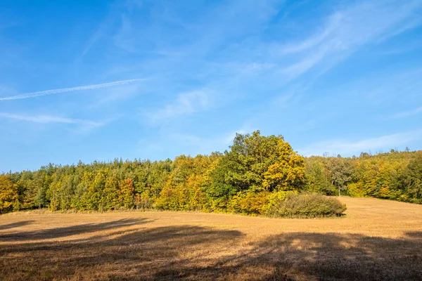 Pastos secos y bosques otoñales de colores bajo el cielo azul — Foto de Stock