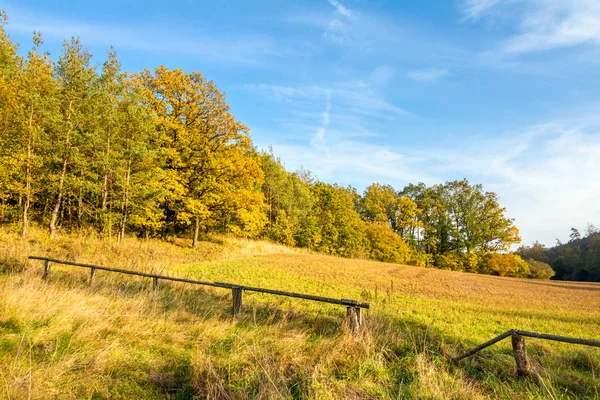 Coral de madera en el paisaje de otoño — Foto de Stock