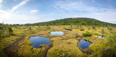 Panorama of peat bog with little lakes under blue sky - Jizera Mountains, Czech Republic, Europe clipart