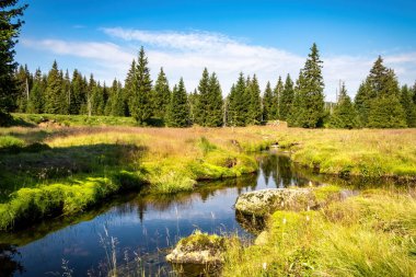 Dere kenarlarında Jizera Dağları, Çek Cumhuriyeti ve Avrupa 'nın bulunduğu güzel yaz manzarası