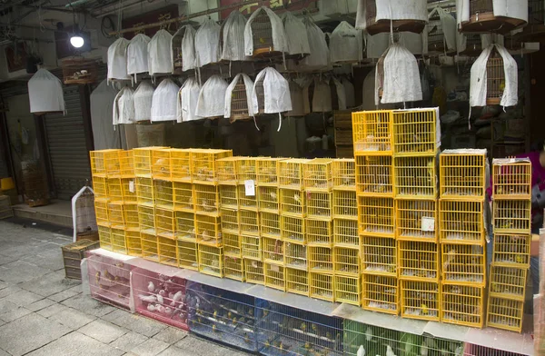 Bird market in Hong Kong cages with birds. One of the the best-known bird market in the world lots of people and tourists