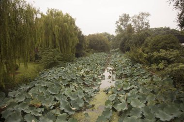 güzel manzara Suzhou Çin