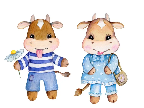 Cute cartoon cows, boy and girl. Watercolor hand drawn illustration for kids. Isolated.