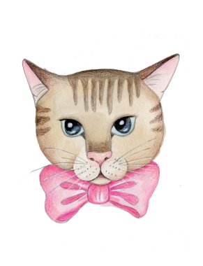 El çizimi suluboya çizimi, beyaz arka planda izole edilmiş. Pembe fiyonklu şirin bir çizgi film kedisi.. 