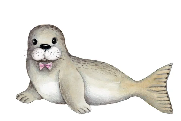 Animali Marini Foca Acquerello Disegnato Mano Cartone Animato Carino Illustrazione — Foto Stock