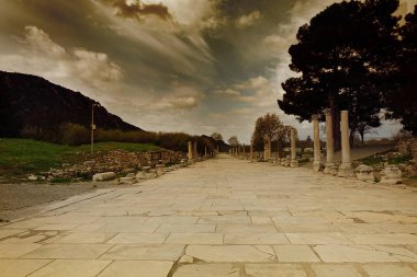Türkiye'de Ephesus Harabeleri