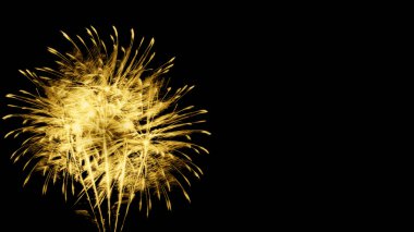 Gökyüzü siyah arka plan üzerinde parlak havai fişek