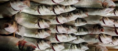 Çiğ soğuk balık, gıda arka plan.