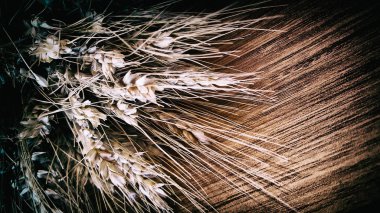 Kopya alanı ahşap zemin üzerine kurutulmuş buğday