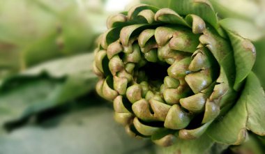 Taze olgun yeşil enginar, gıda arka plan.