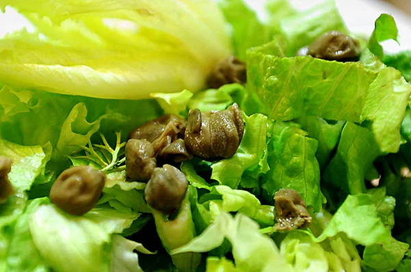 Mistura Legumes Com Alcaparras Conserva Fundo Comida — Fotografia de Stock