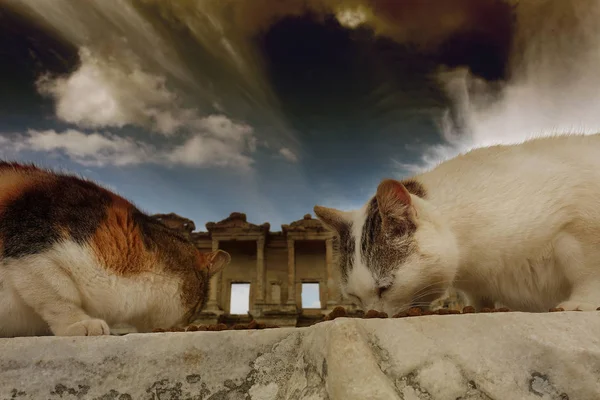 Ephesus Romjaihoz Törökország — Stock Fotó