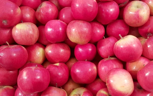 Manzanas Dulces Maduras Rojas Fondo Alimenticio — Foto de Stock