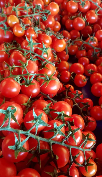 Tomates Rojos Maduros Crudos Fondo Alimentario — Foto de Stock