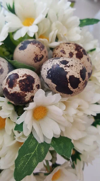 Пятнистые Перепелиные Яйца Маргаритками Пасхальная Тема — стоковое фото