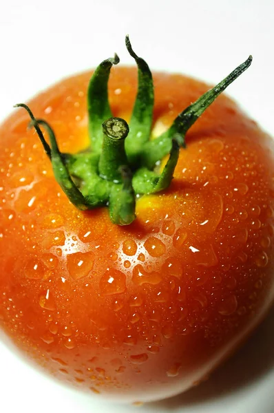 Tomate Avec Gouttes Eau Isolées Sur Fond Blanc — Photo