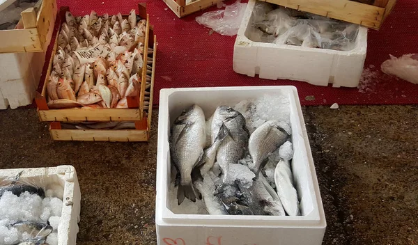 Škála Syrové Ryby Mořské Plody Kontejnerech Trhu Potravinami — Stock fotografie