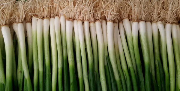 Rohe Reife Grüne Zwiebeln Lebensmittel Hintergrund — Stockfoto