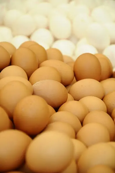 Fehér Bézs Csirke Tojás Élelmiszer Háttér — Stock Fotó