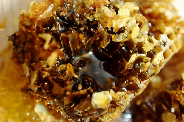 Natürliche Bienenwaben Gesunde Ernährung — Stockfoto