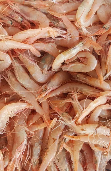 Raw cold shrimps, food background.