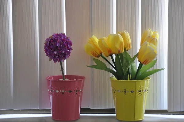 Violet and yellow flowers in vases