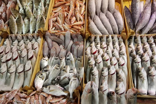 Wiele Surowych Ryb Owoców Morza Pojemnikach Rynku Żywności — Zdjęcie stockowe