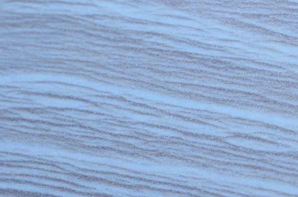 Fond Bois Monochrome Couleur Bleue — Photo