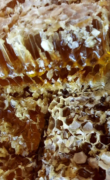 Honigwaben Natürlicher Süßer Honig Gesunde Ernährung — Stockfoto
