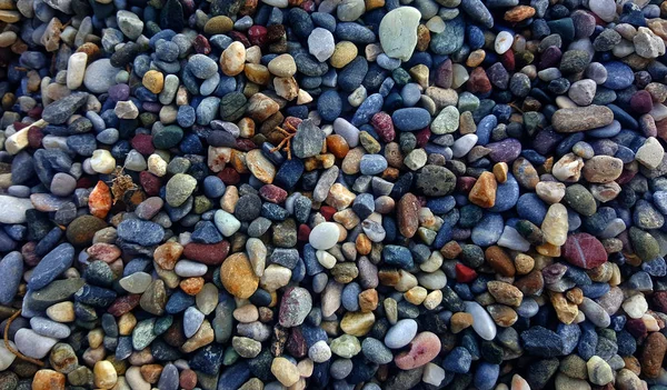 Varietà Pietre Spiaggia Sulla Sabbia — Foto Stock