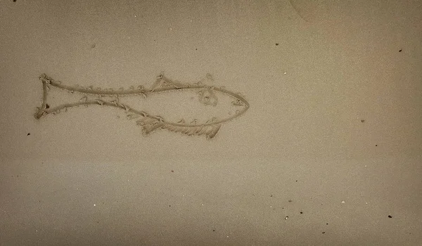 Dessin Poisson Sur Sable Plage — Photo