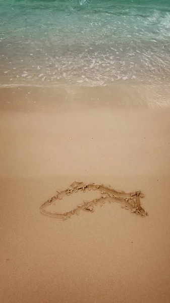 Dessin Poisson Sur Sable Plage — Photo